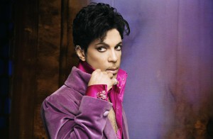 Prince Purple