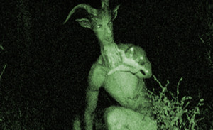 goatman