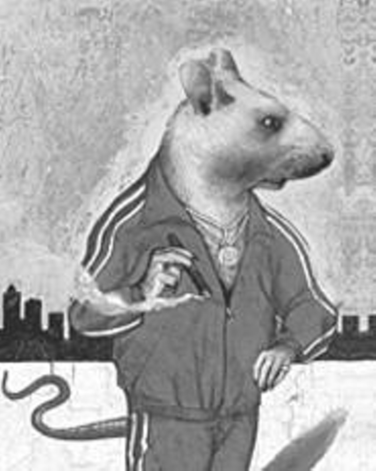 Practice What You Preach: Throwing the Word “Rat” Around Like a Pair of
